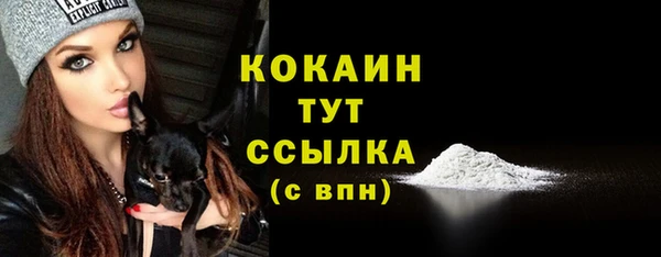 крисы Коряжма