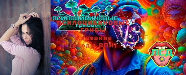 соль ск Козловка