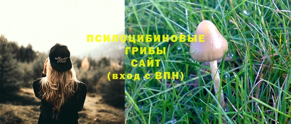 MESCALINE Козельск
