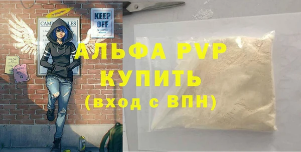 спиды Корсаков