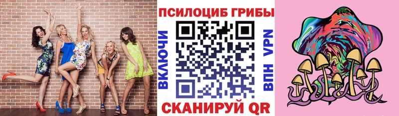 Купить где  Новая Ладога  Псилоцибиновые грибы Psilocybine cubensis 